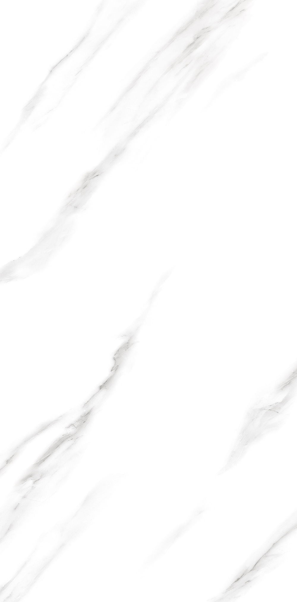 爵士白